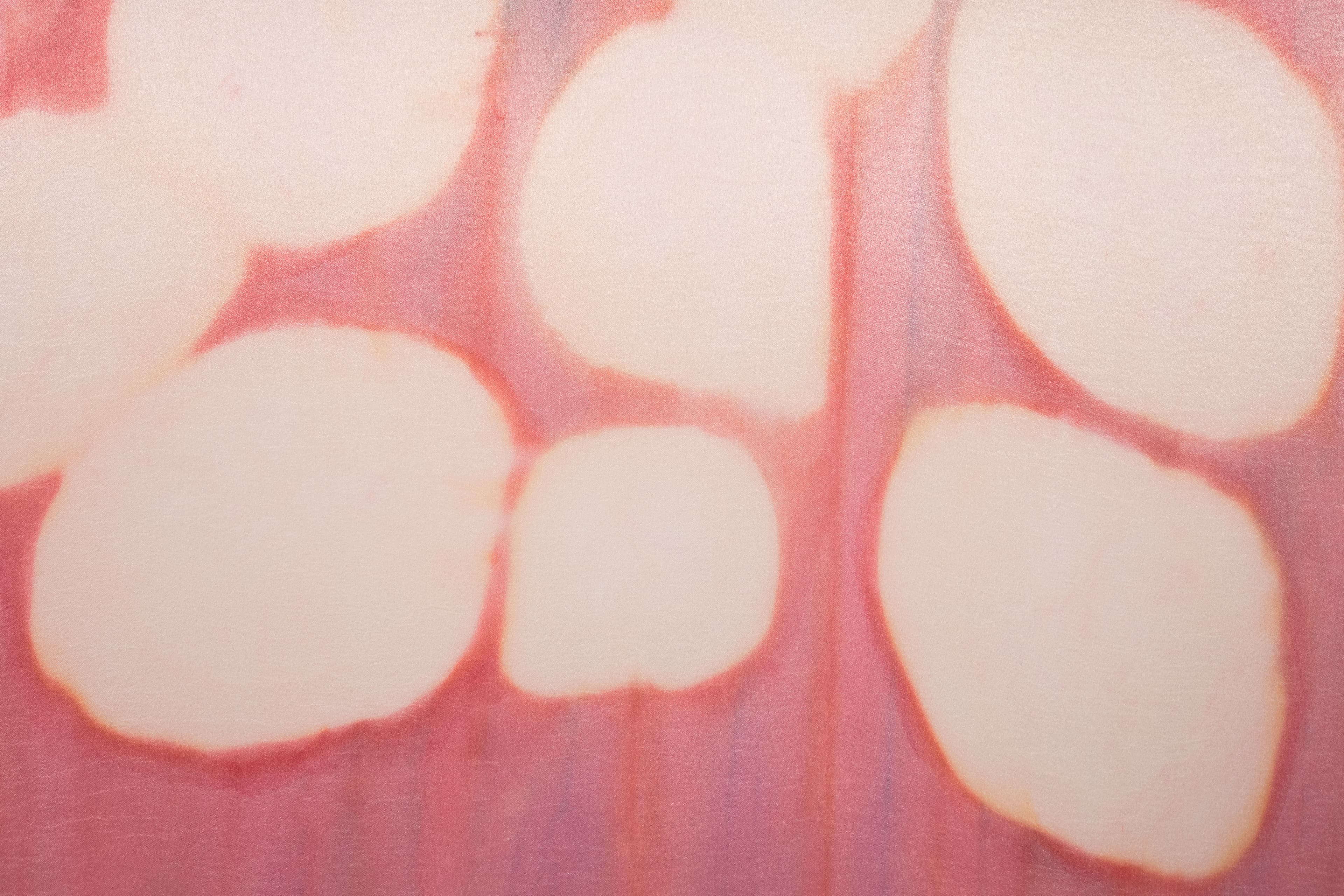 A large diptych painting by Max Boyla. Circular white forms on a pink background.