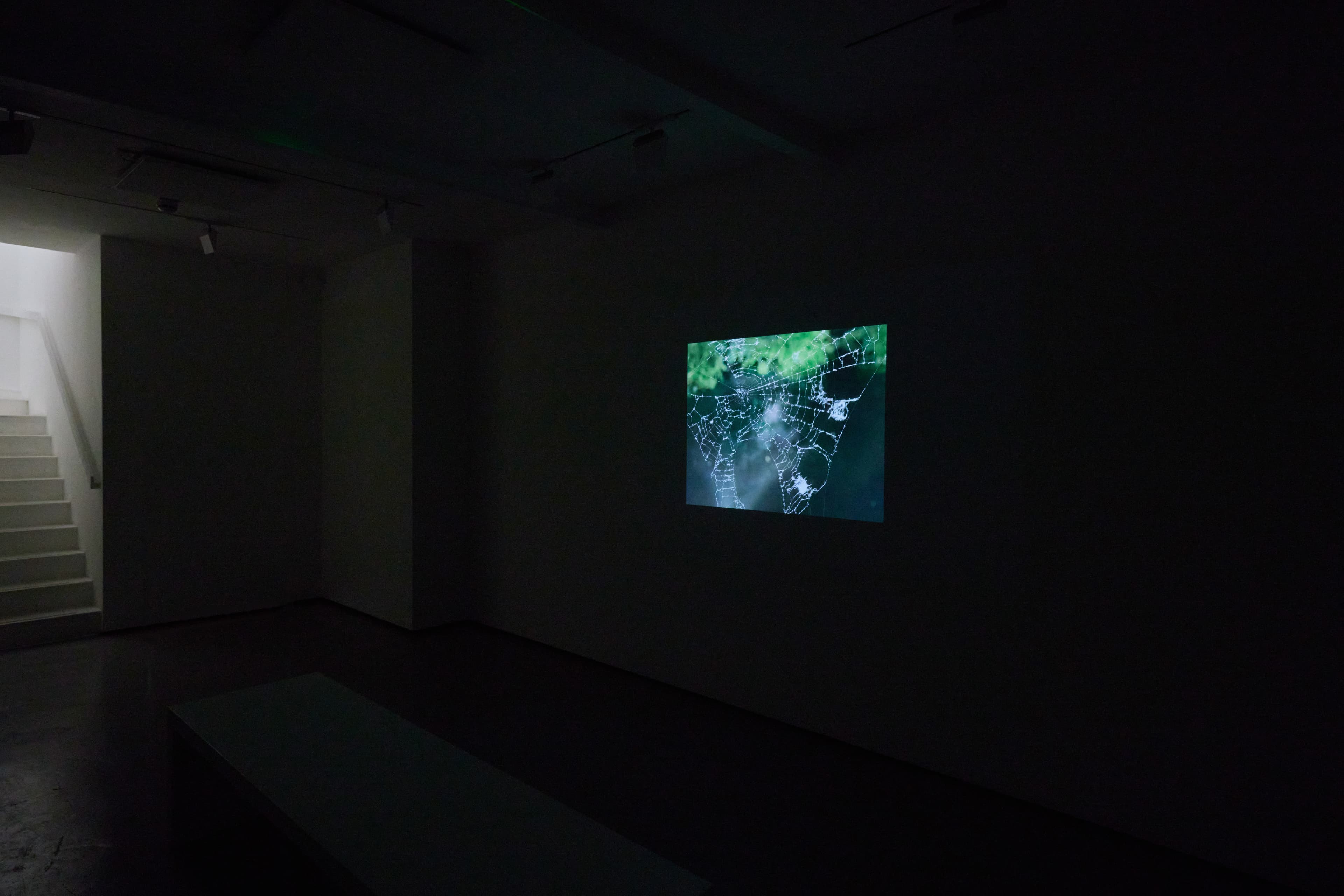 Installation shots of James Prapaithong's exhibition Light Rooms at Workplace | London