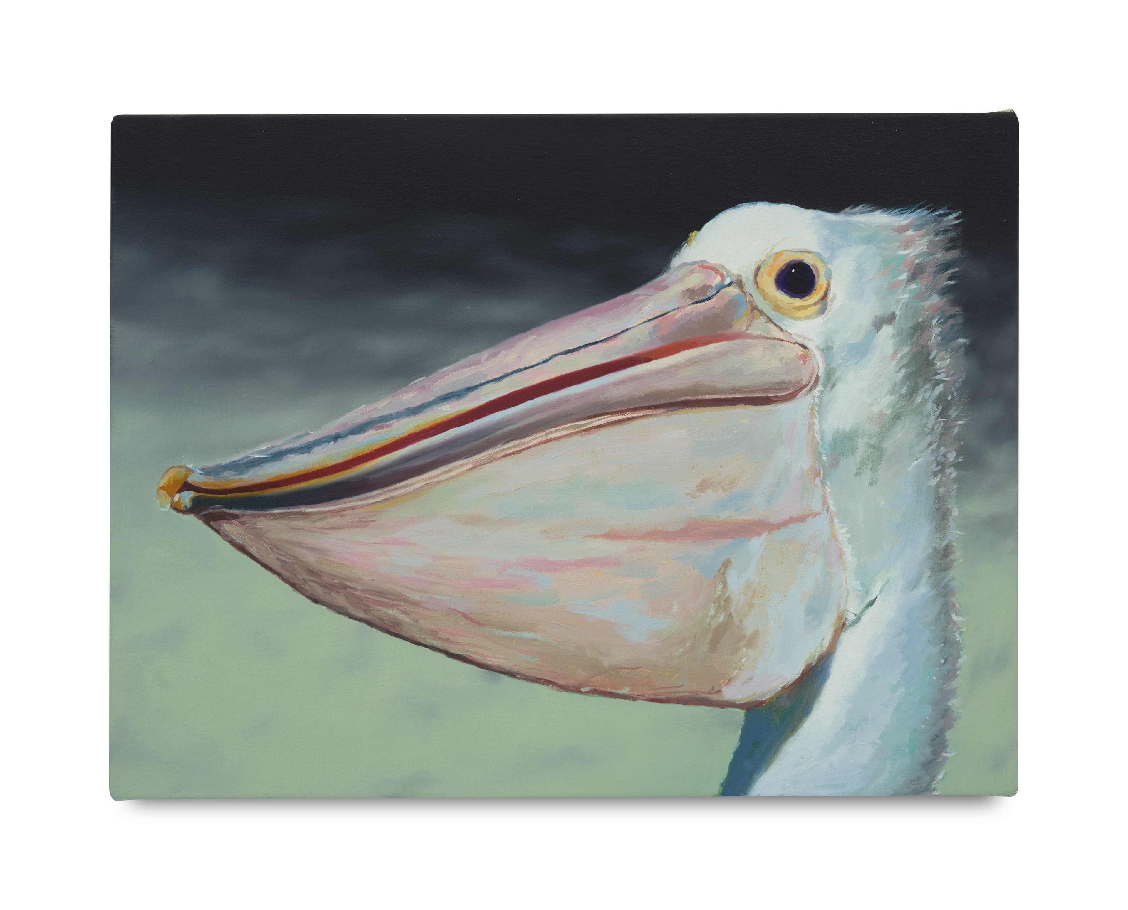 Oil on linen painting of a pelican 