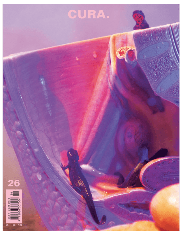 SIMEON BARCLAY BY FRANCES LOEFFLER