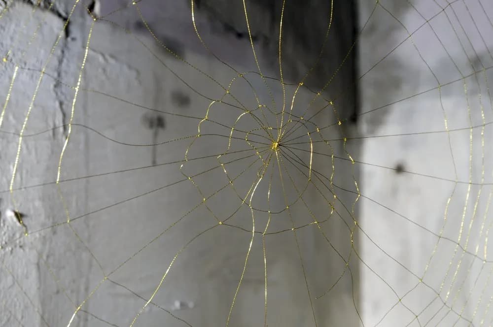 Catherine Bertola, Unseen by all but me alone, 2009