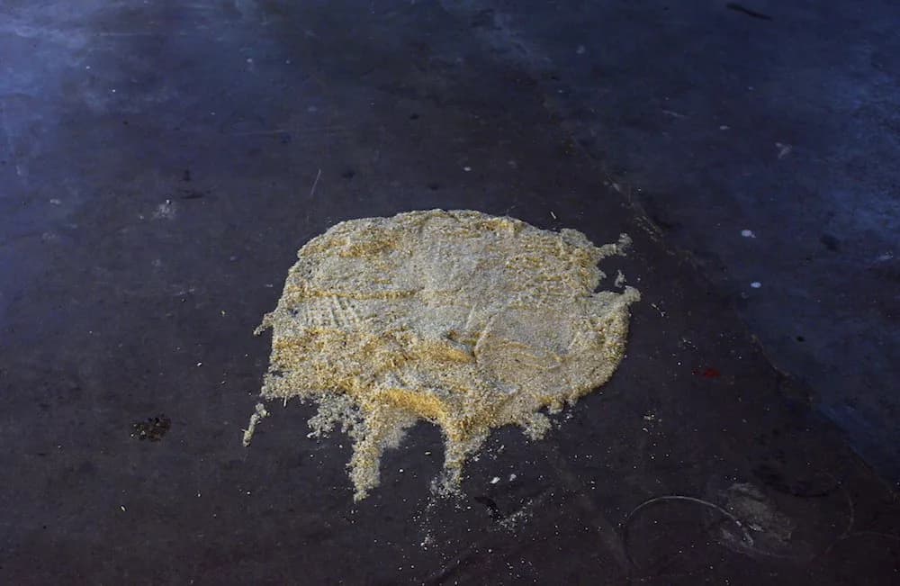 Darren Banks, Crowley's Cut, 2010