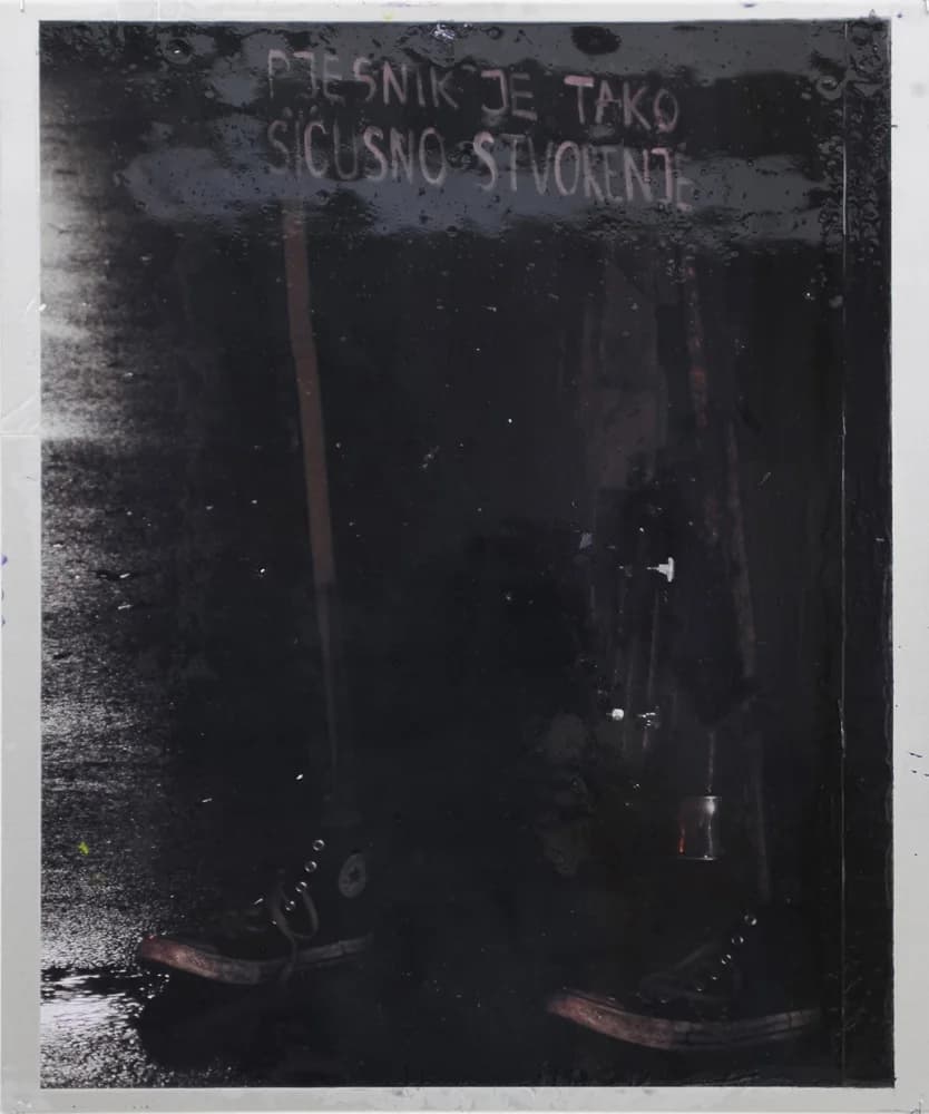 Hugo Canoilas, A poet is a minuscule thing, 2014