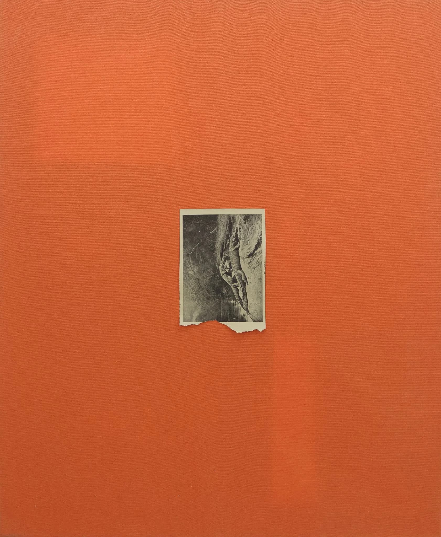 Hugo Canoilas, The sterile everyday of horrid fixity., 2013