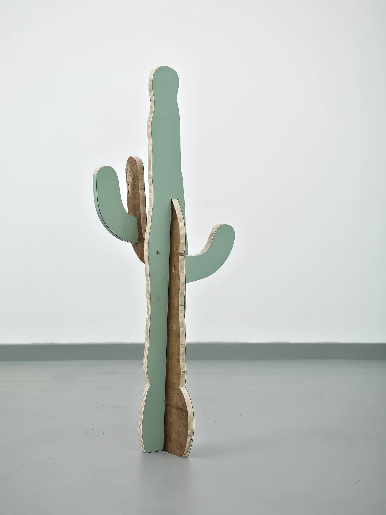 Paul Merrick, Cactus (Saguaro), 2014