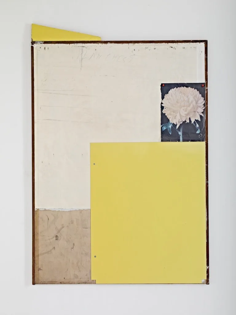 Paul Merrick, Still Life (Chrysanthemum), 2012