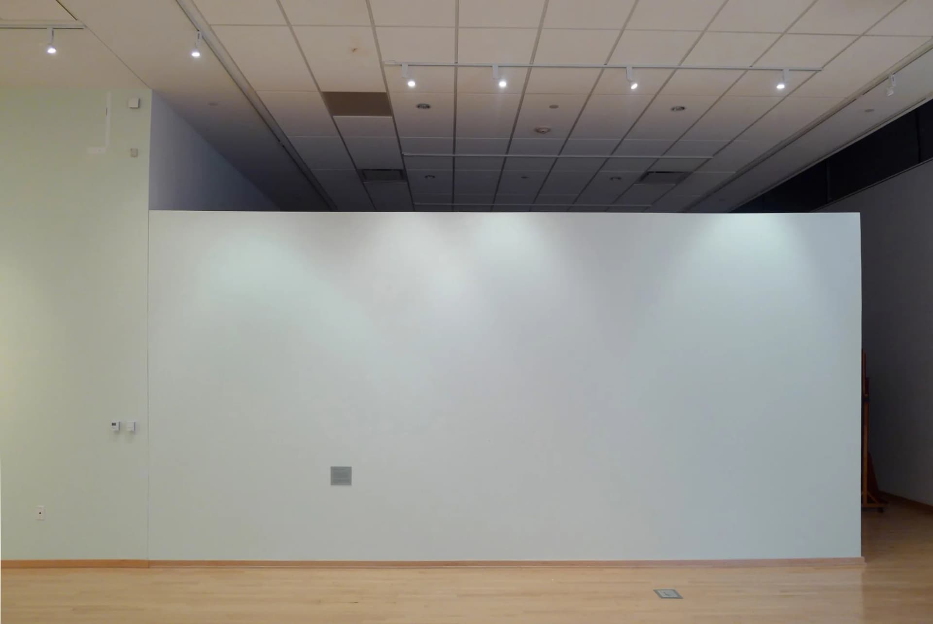 Richard Rigg, This One, the Next, and the One After That, 2009