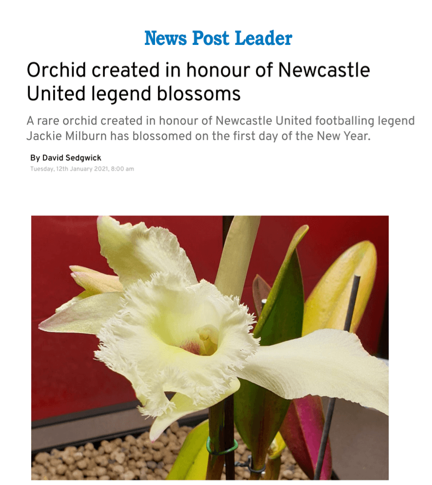 Orchid created in honour of Newcastle United legend blossoms David Sedgwick, News Post Leader 
     January 12, 2021