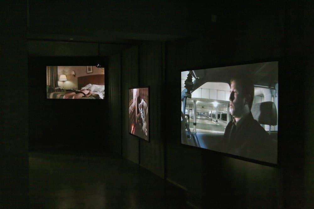 Dawn Chorus by Marcus Coates at Manifesta 7